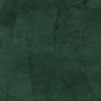 SAMPLE Shaw Carpet Tile Dye Lab 5T041 EW24 41395 Mint Full Tile