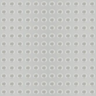 Tactile Ground Surface Indicators Platinum