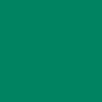 Omnisport Mint Green 8026