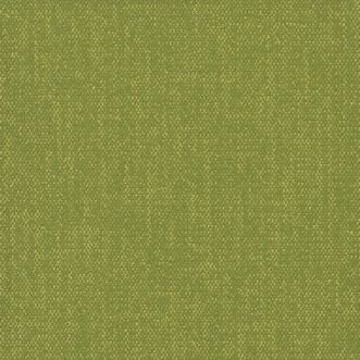 Color Frame Hyper Green