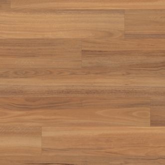 Van Gogh Plank Gluedown Northern Spotted Gum 1219mm x 178mm