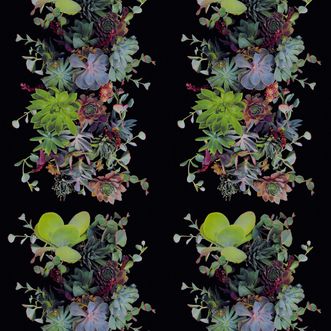 Succulents Verdant 12 x 15 ft Rectangle