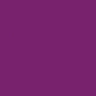 Omnisport Purple 8025
