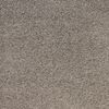 Regal Park Raw Umber 556