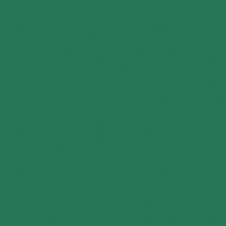 Omnisports Reference Multi-Use (6.2mm) Uni Tonic Green