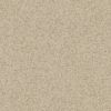 Primo Safe.T Dark Warm Beige