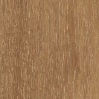 Nordic Elm