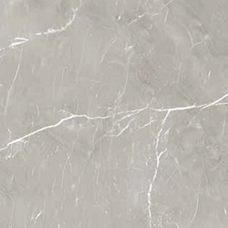 SAMPLE Lux Marble Look Grey Tile 100x100