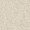 Eclipse Premium Classic Medium Warm Beige