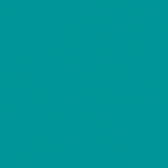 Omnisports Reference Multi-Use (6.2mm) Uni Teal
