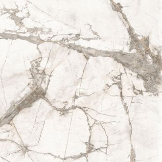 SAMPLE Lux Marble Look White Tile 100x100