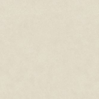 Protectwall 1.5mm Concrete Mastic