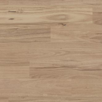 Van Gogh Plank Gluedown Washed Blackbutt 1219mm x 178mm
