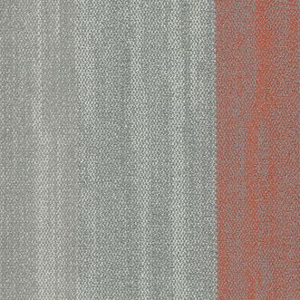 Sea Edge Ocean Coral