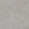 Mold Nickel 600mm x 600mm (Limited availability)