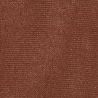 Accent Terracotta
