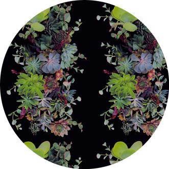 Succulents Verdant 11 ft Circle