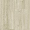 Acczent Excellence Modern Oak White 9005