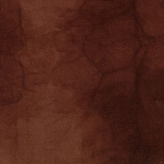 SAMPLE Shaw Carpet Tile Dye Lab 5T041 EW24 41865 Rust Full Tile