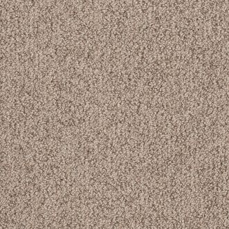 Sample Choices Flooring Delemont Bovee 005 Tablet