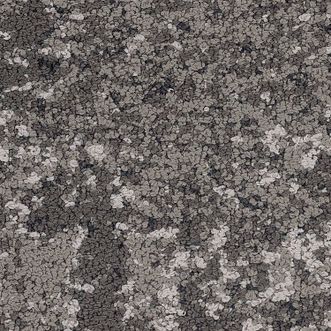 SAMPLE Shaw Haven Familiar Truffle 9 x 36 0
