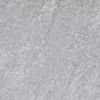 Primal Silver Matt 300x600mm