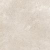 Coquille Champagne Matt 600x600mm
