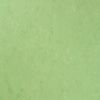 Veneto Applegreen