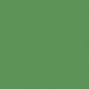 Eclipse Premium Spirit Green