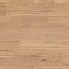 Van Gogh Plank Rigid Core Eastern Blackbutt  1220mm x 180mm