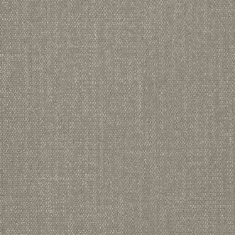 Color Frame Duplicity