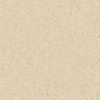 Eclipse Premium Classic Medium Gold