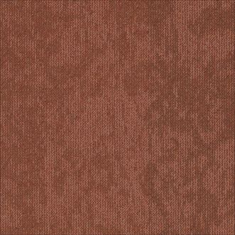Desert AC89-5121