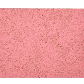 Walk Easy Coral