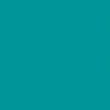 Omnisports Reference Multi-Use (6.2mm) Uni Teal