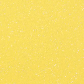 Colour Splash VG6 CANARY