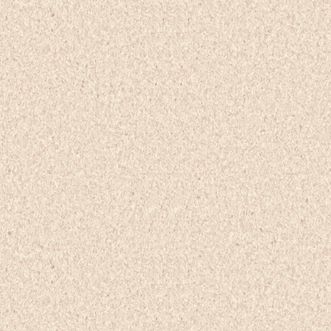 SAMPLE Tarkett iQ Granit 21142325 A4