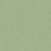 Eclipse Premium Spirit Medium Green