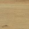 Everlast Laminate 10 mm Honey Oak