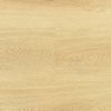 Everlast Laminate 10 mm American Oak