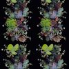 Succulents Verdant 12 x 15 ft Rectangle