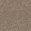 Accent Paperbark