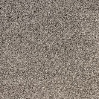 Regal Park Raw Umber 556
